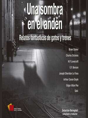 Una sombra en el andén - Audiobook